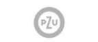PZU – ubezpieczenia
