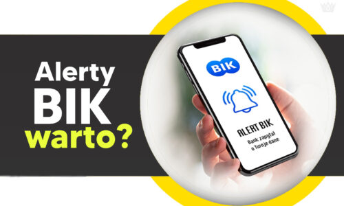 Alerty BIK: natychmiastowe powiadomienia i monitoring danych