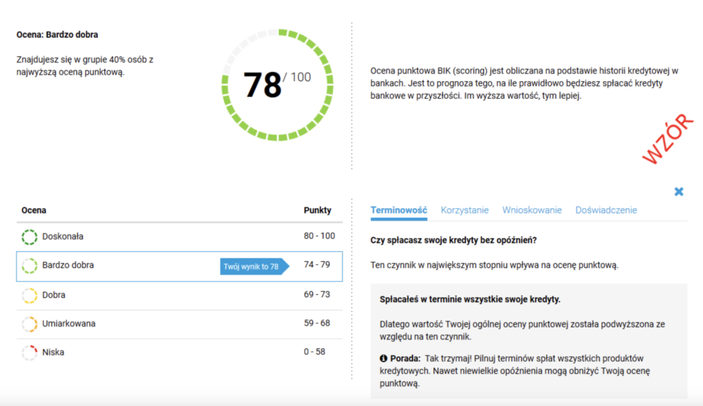 Raport BIK Scoring - Panel
