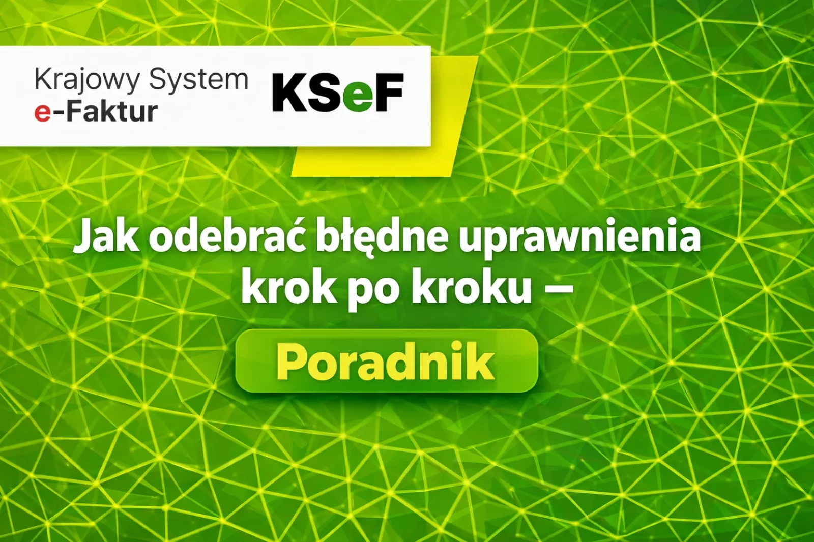 Jak odebrać błędne uprawnienia w KSeF krok po kroku - poradnik Krajowego Systemu e-Faktur