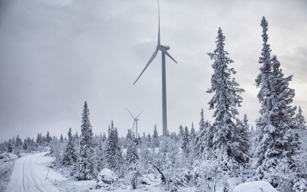 Farmy Wiatrowe - Inwestorzy w zimę